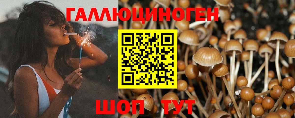 Галлюциногенные грибы Magic Shrooms Боровичи