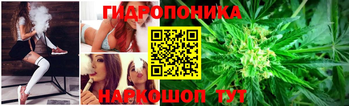 Конопля MAZAR Боровичи